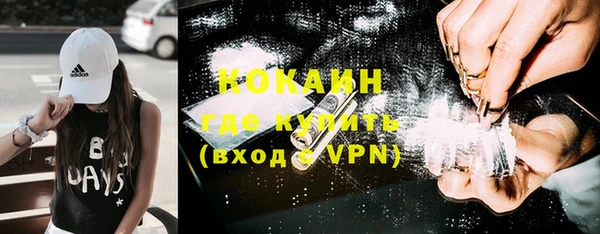 тгк Ростов
